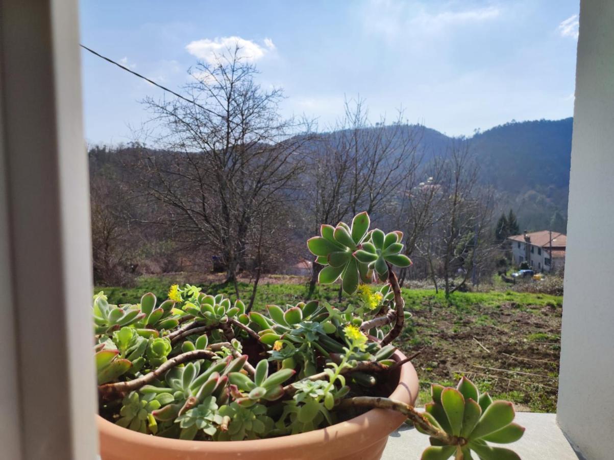 Casa Dei Giuggioli Villa Vernazza Ngoại thất bức ảnh
